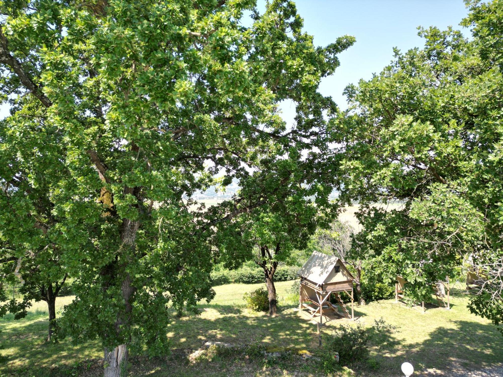 Camping Domaine De Senaud Albon Exteriör bild
